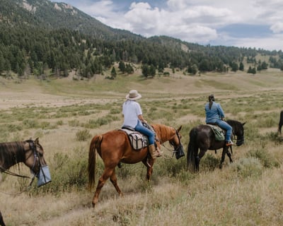 Canyon View Horseback Ride in Gallatin Gateway