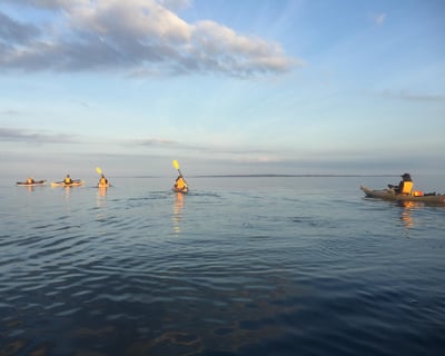Private Kayak & Paddleboard Tour in Oak Bluffs