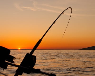 Private Trolling Trip - Four Hours