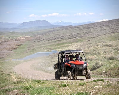 Ride a 3-Hour ATV Bison Tour in Oak Creek