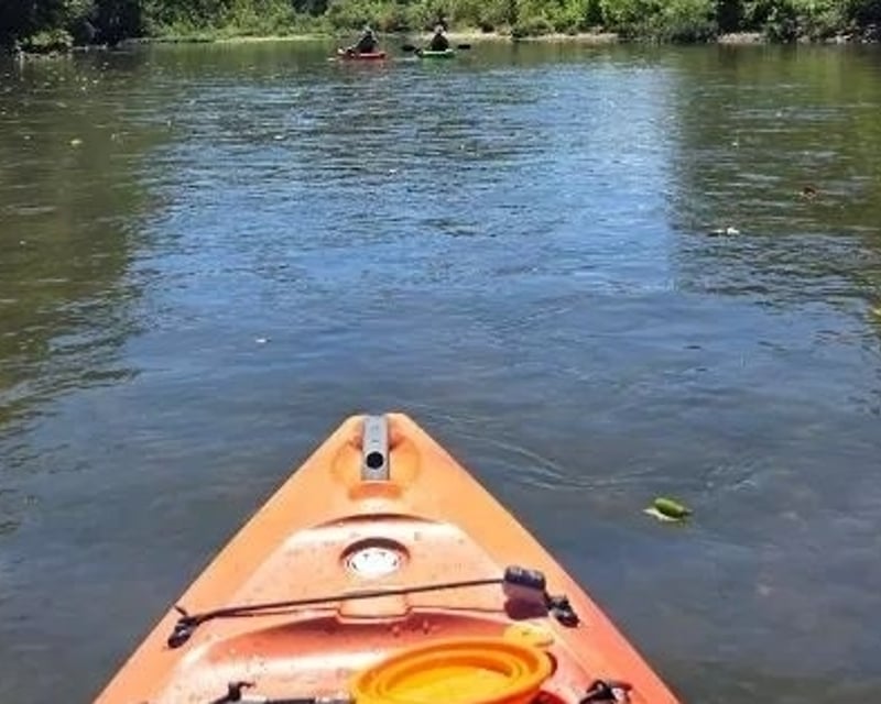 James River Float Shuttle to Shelvin Rock for Your Own Boat