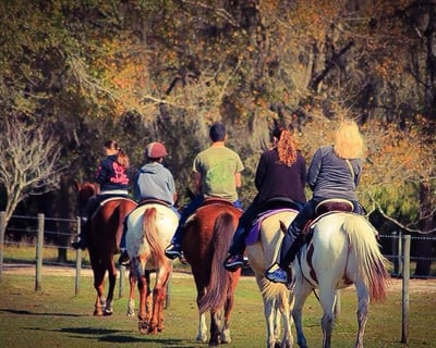 1-Hour Horseback Trail Ride in Myakka City