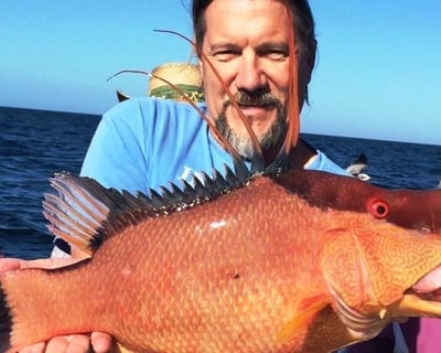 Fish on a 5-Hour Half-Day Trip in Madeira Beach