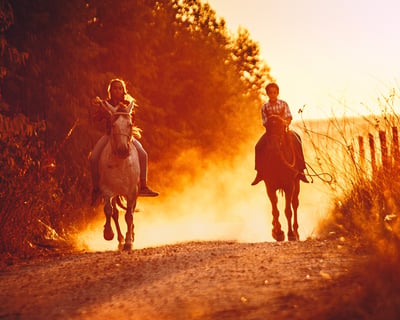 Sunset Horseback Ride in Millbrook
