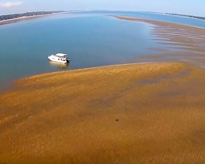 Hilton Head Sandbar & Dolphin Boat Tour