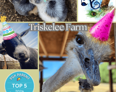 2-Hour Farm Birthday Party Package