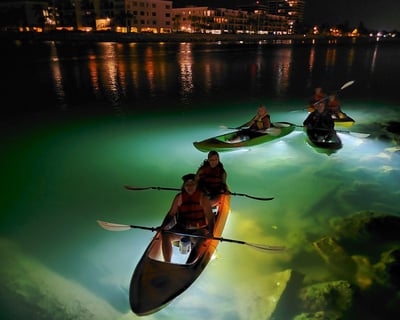 Feed Fish on a Glass-Bottom LED Kayak Night Tour