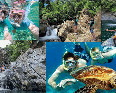 El Yunque Rainforest & Snorkeling Guided Tour