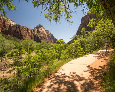 Half-Day Guided Zion National Park Hiking Tour