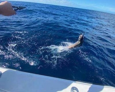 8-Hour Private Fishing Charter in Marathon