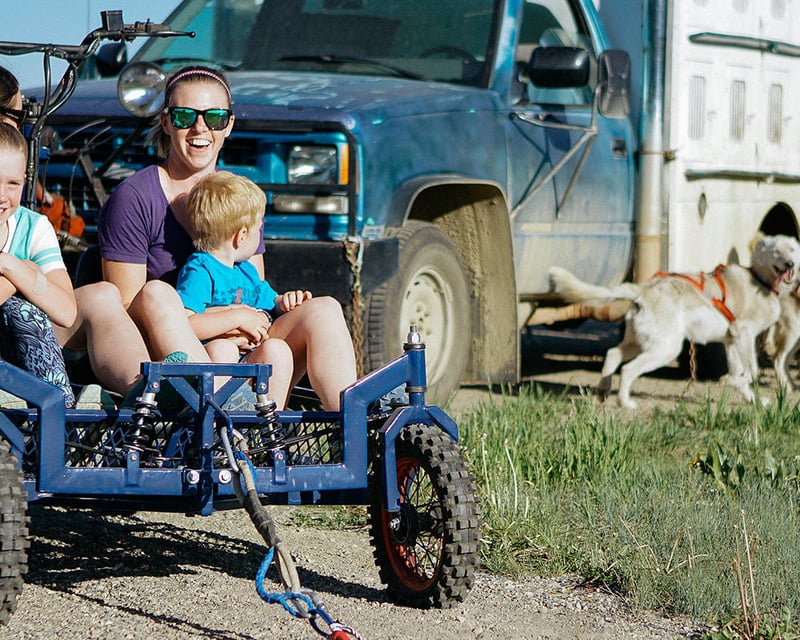 Alaskan Husky Dog Cart Ride Near Pagosa Springs