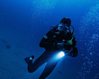 Private Night Dive Charter From Finz Dive Center
