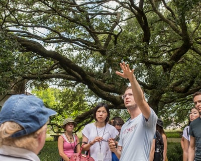 Whitney Plantation 90-Minute Guided Tour in Edgard