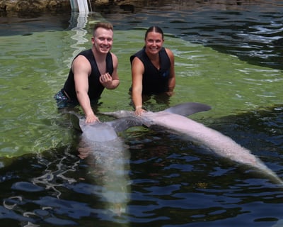 Meet Dolphins In-Water In Key Largo