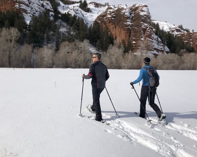Private 2-Hour Snowshoe Tour in Morgan