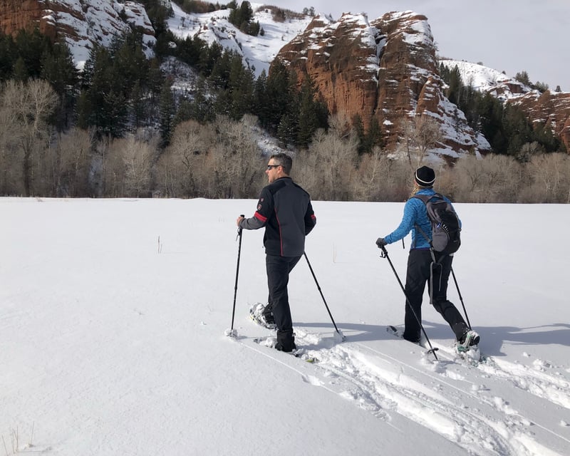 Private 2-Hour Snowshoe Tour in Morgan