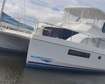 Half-Day Catamaran Charter in Gros Islet
