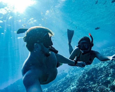 Eco-Raft Snorkel & Whale Watch Combo