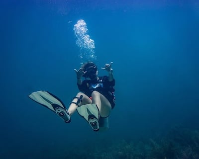 4-Hour Scuba & Snorkel Trip in Islamorada