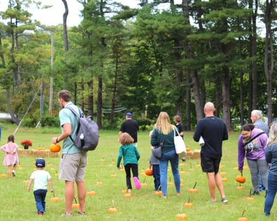Ride the Pumpkin Patch Express in Railroad, PA