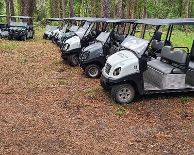 6-Seater Golf Cart Rentals