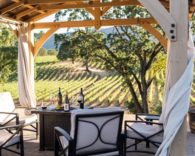 Private Full-Day Sonoma Wine Tour