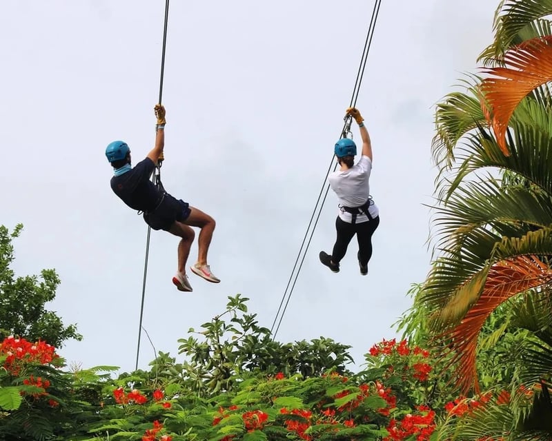 Canopy Zipline & Hanging Bridges Tour in Puerto Rico