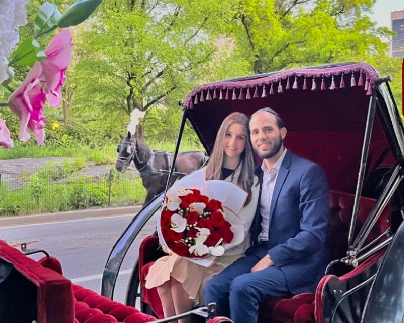 Central Park Celebration Horse-Drawn Carriage Tour