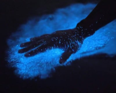 Fajardo Bioluminescent Bay Kayak Tour