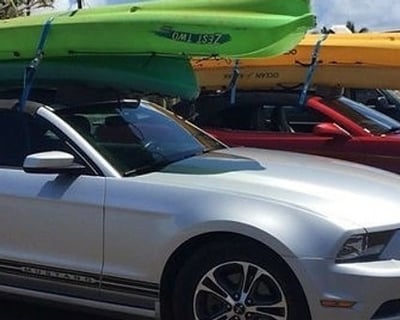 8-Hour Wailua River Kayak & SUP Rental