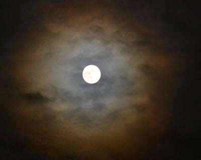 Full Moon Kayak Tour Pine Island Audubon Sanctuary