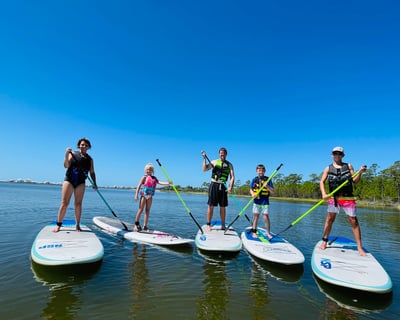 Gulf Shores Paddleboarding Lessons and Tours