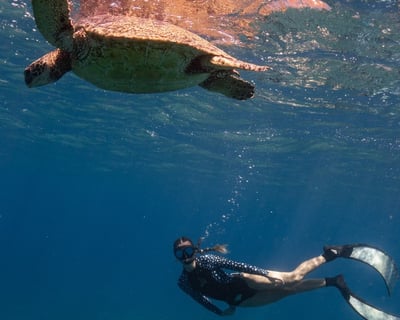 Guided Turtle Canyon Snorkeling Tour