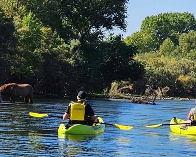 Paddle the Lower Salt River Guided Tour From Tempe