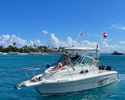 Full-Day Icacos & Palomino Charter