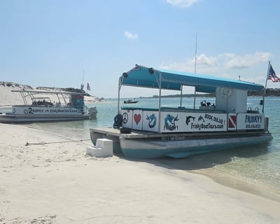Cruise Pensacola Beach on a 6-Hour Dolphin & Snorkel Tour