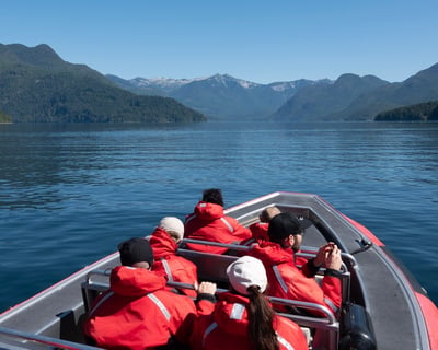6-Hour Zodiac Whale Watching Tour in Campbell River