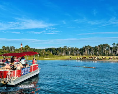Chincoteague Wild Pony Boat Tour