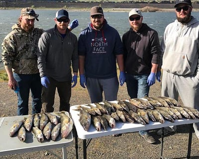 8-Hour Walleye Fishing Charter on the Snake River