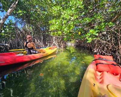 Private Guided Mangrove Kayak Tour in the Florida Keys