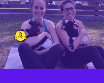 Baby Fainting Goat Mingle in Georgetown