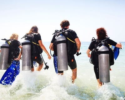 Explore Oahu Offshore Reefs on a 1-Tank Shore Dive