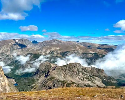 Private Yellowstone Wildlife Tour From Cody