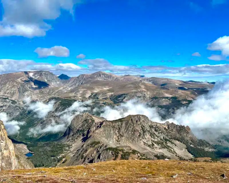 Private Yellowstone Wildlife Tour From Cody