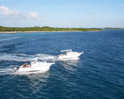 4-Hour Fajardo Boat Charter