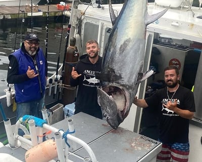 Bluefin Tuna Fishing Charter in Gloucester