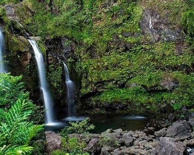 Explore the Road to Hana Guided Tour From Oahu