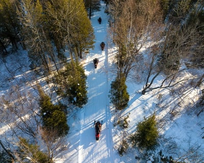 Full-Day Snowmobile Rental in Danbury