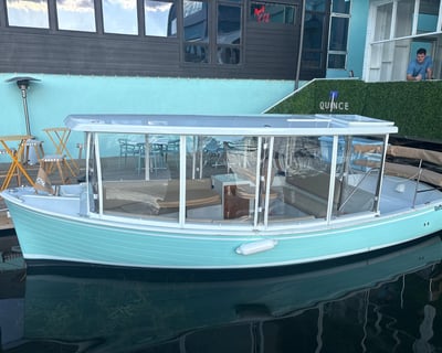 Private Electric Duffy Boat Cruise on Lake Austin