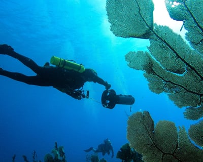 Guided Diver Propulsion Vehicle Dive in Aguadilla